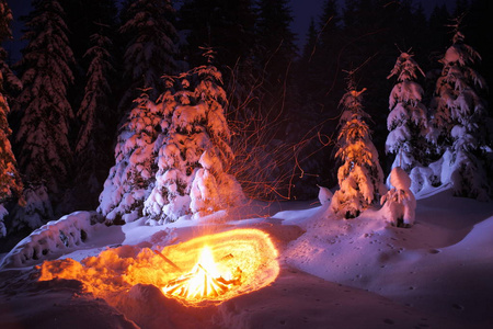 冬天森林里的篝火照亮了雪