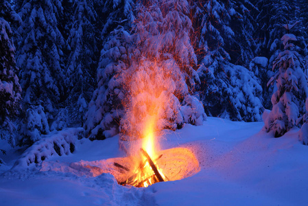 冬天里的一把火冬天森林里的篝火照亮了雪照片