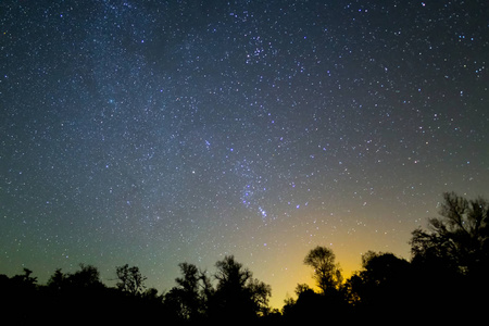 猎户座星座在一个 noght 的星空上空的森林剪影