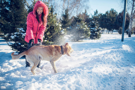 女人与狗拉布拉多犬在冬天的户外玩