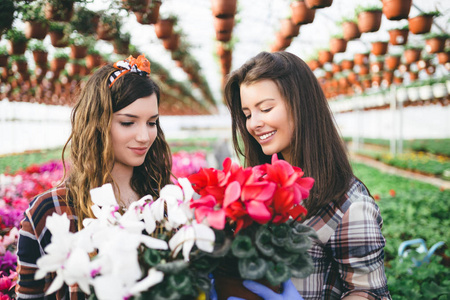 两个有吸引力的年轻妇女在温室工作和享受美丽的花朵