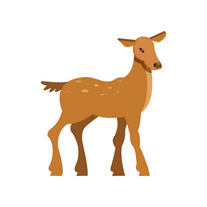 野生獐鹿优雅斑点休闲獐鹿, 野生动物卡通矢量插图照片