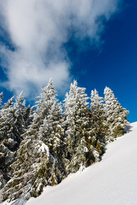 冬天山下雪的风景