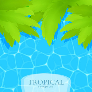 夏季热带背景水和棕榈树叶