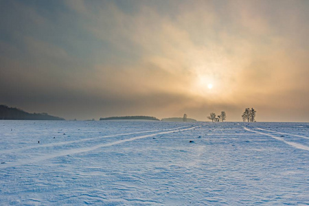 冬天白雪覆盖的田地和大雾天