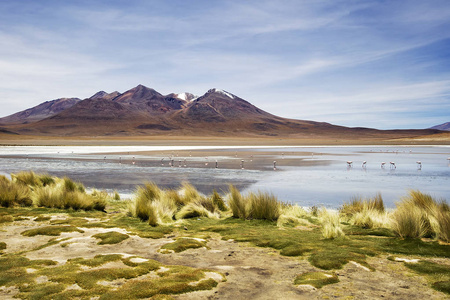 Colorada 在 Avaroa 安第斯动物保护区在玻利维亚的爱德华。