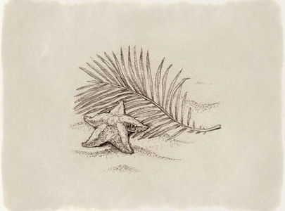 热带海滩上的海星的插图体育海报/素描休闲插图矢量模式与水彩插图的