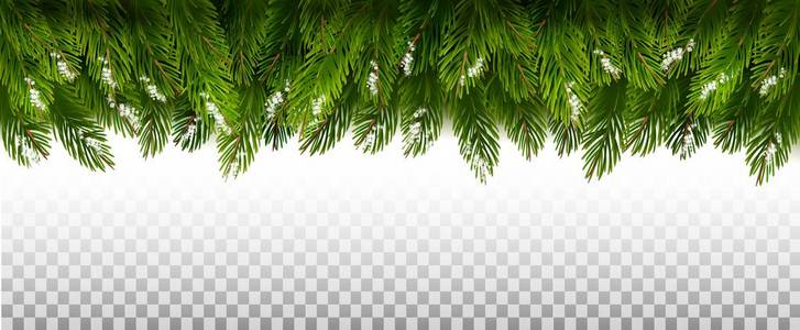 节日圣诞节框架与绿色树枝上透明背景。矢量