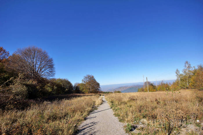 保加利亚索非亚城市 Vitosha 山黄树秋季景观