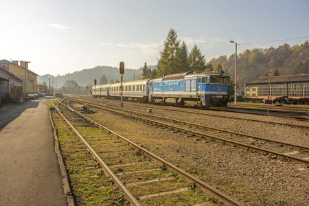 Bieszczady 山脉波兰喀尔巴阡山火车 Zagrz