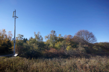 保加利亚索非亚城市 Vitosha 山黄树秋季景观