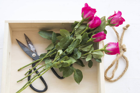 粉红色的玫瑰在木盒与剪刀准备花店背景白色