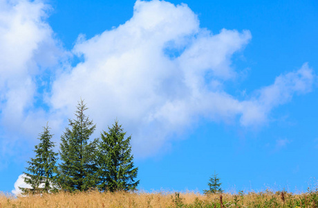 夏季山上山