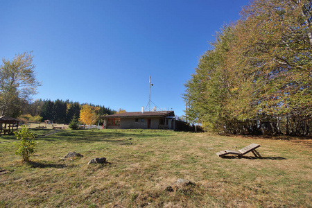 保加利亚索非亚城市 Vitosha 山黄树秋季景观