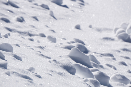 冬天的雪，一丛丛