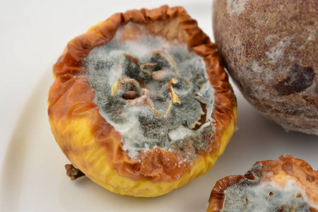 在盘子上发霉的水果.发霉的苹果和白色的背景照片