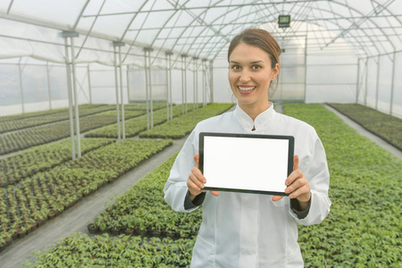 女性生物技术工程师片剂温室。植物幼苗生长的温室春天