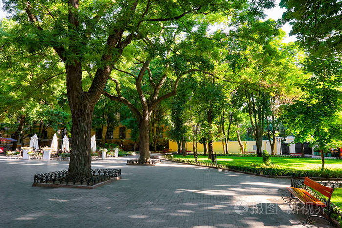 夏日公园的早晨, 明亮的阳光, 绿树和阴影