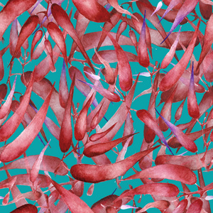 与干燥标本集花卉和植物的无缝模式 水彩插图照片 正版商用图片0fll8m 摄图新视界