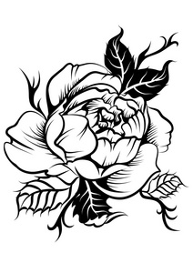 牡丹花剪影图片