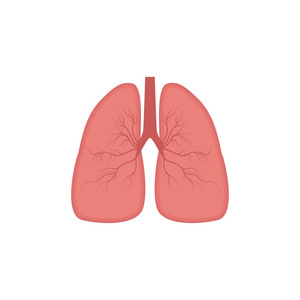 肺部图标, 扁平型。人体内部器官的设计元素, 标识。解剖学, 医学概念。医疗.在白色背景上被隔离