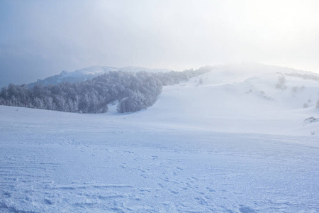 大雪的冬天山景观在雾中