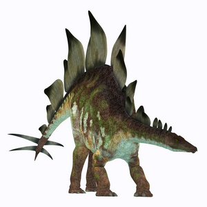 在白色的剑龙恐龙照片