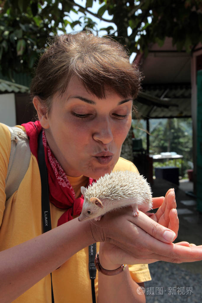 刺猬在他胳膊上的女孩