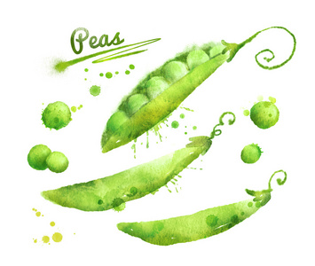 豌豆收获图片-豌豆收获素材-豌豆收获插画-摄图新视界