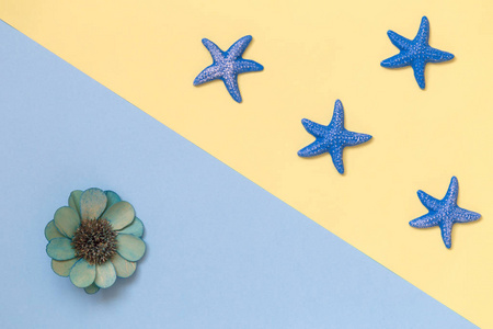 夏季背景海星和花的顶部视图