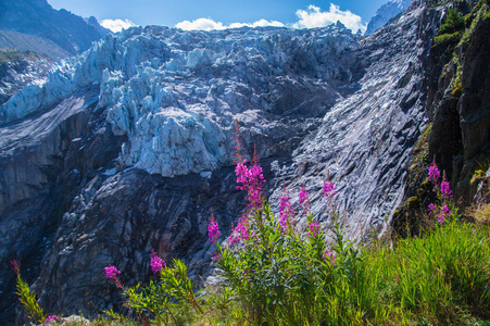 argentiere, 萨瓦, 法国高级的冰川