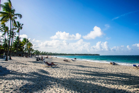 热带加勒比海滩沙滩上的棕榈树