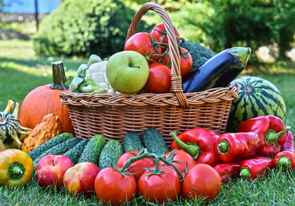 各种新鲜有机蔬菜和水果在花园里