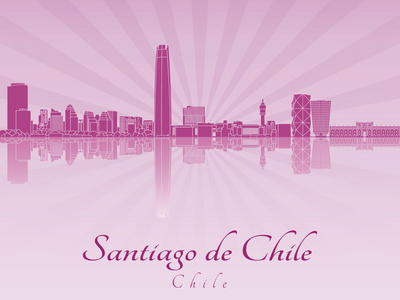 紫色的辐射兰花 Santiago de 智利天际线