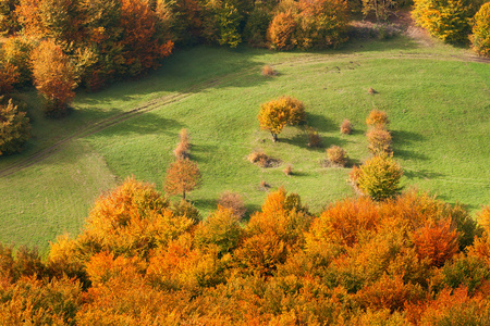 秋季景观与田园牧场和彩色的树