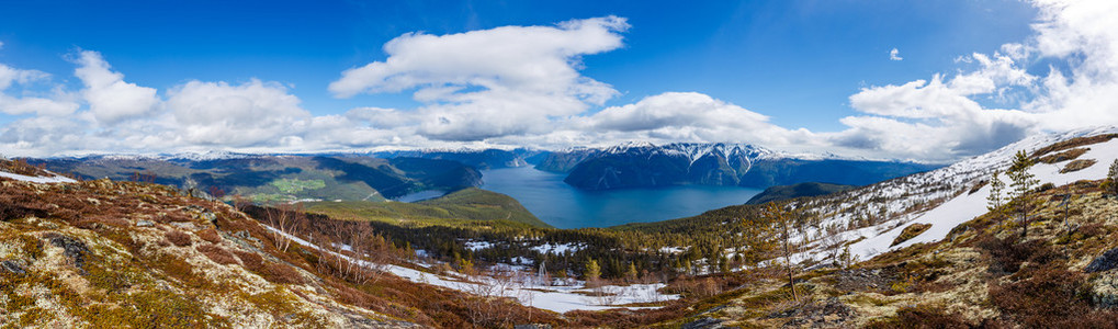 美丽的大自然挪威全景 Sognefjorden