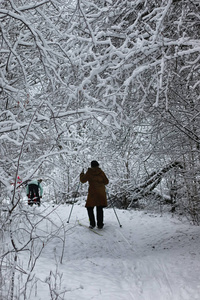 冬天雪体育人跑在树公园