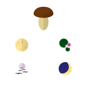 图标扁平自然集蘑菇月亮睡莲等矢量对象。也包括月亮, 莲花, 鸟元素