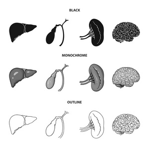 肝胆囊肾脑人体器官集合图标黑色, 单色, 轮廓样式矢量符号股票插画网站