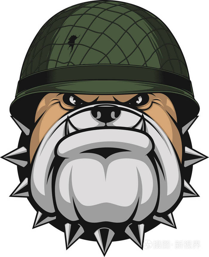 一名士兵的安全帽的斗牛犬