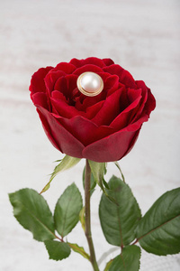 上一朵红玫瑰金珍珠戒指