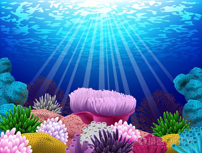 海底哪里那里珊瑚和贝壳插画-正版商用图片0fn5ux-摄图新视界