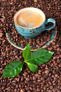 咖啡豆背景新鲜咖啡叶咖啡杯