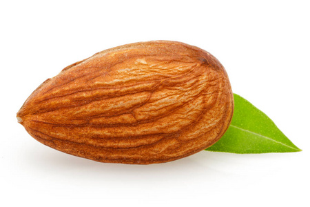 杏树叶杏仁和树叶照片