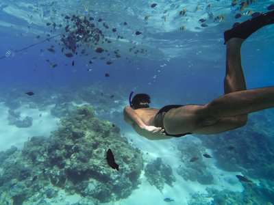 波拉波拉岛, 法属波利尼西亚。在绿松石水域浮潜