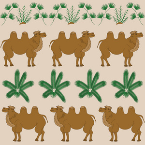 骆驼最喜爱的食物是骆驼刺和其他沙漠植物