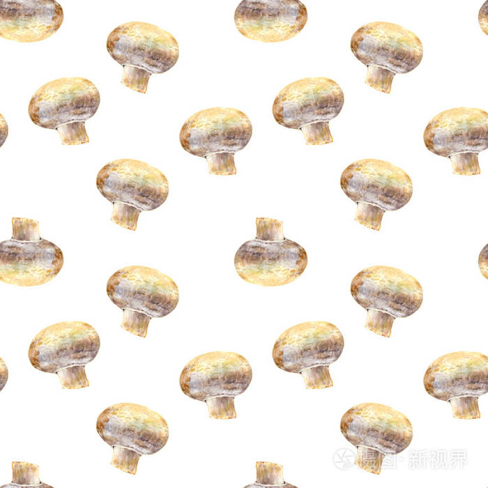 白色背景上的蘑菇香菇。无缝的水彩图案
