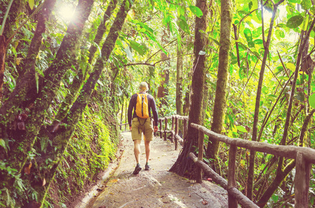 在绿色热带丛林徒步旅行, 哥斯达黎加, 中美洲