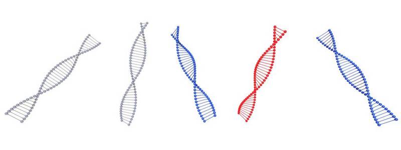 在白色背景下分离的 dna 符号3d 渲染