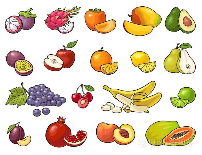 插画 设置热带水果.白色的矢量黑色老式雕刻.eps